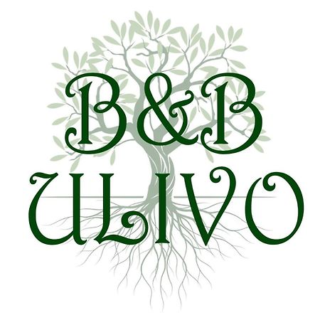트라파니 Ulivo B&B 외부 사진